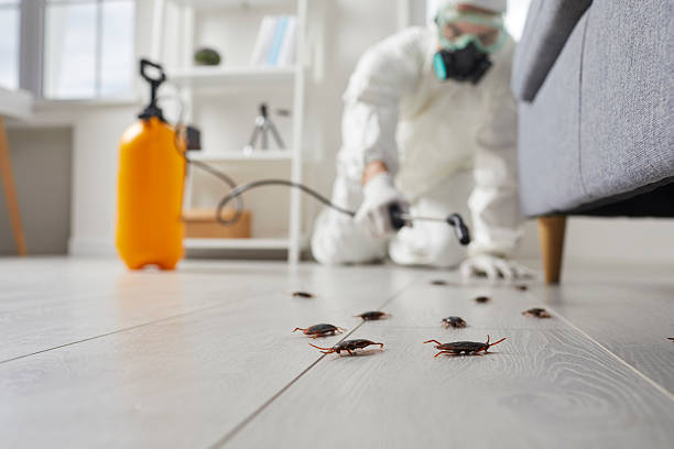 Commercial Kitchen Cockroach Control in Vaiden